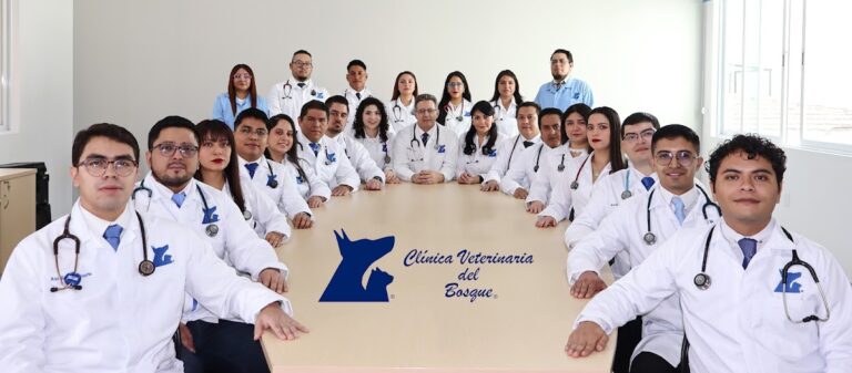 17840 clinica veterinaria del bosque emergencias 24hrs7 dias solo perros y gatos 768x337