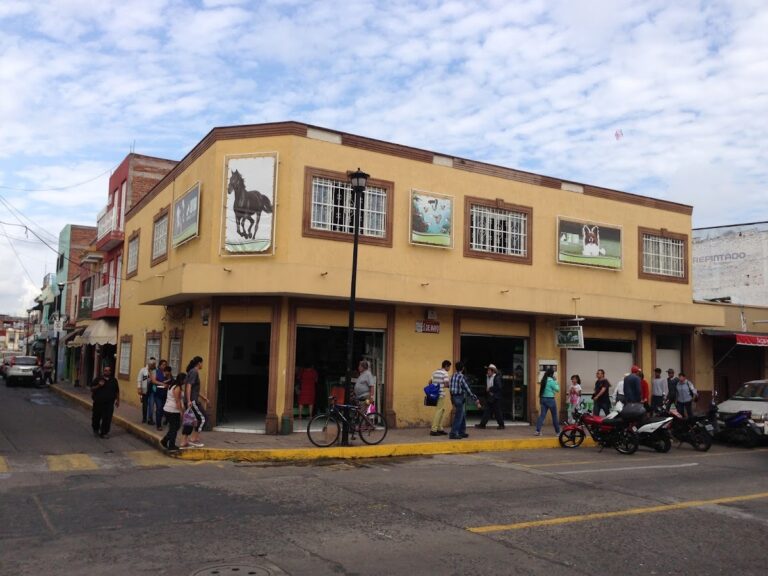 17846 veterinaria nava castillo 768x576