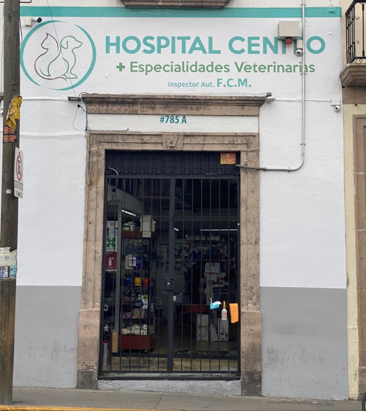 17850 hospital centro veterinario