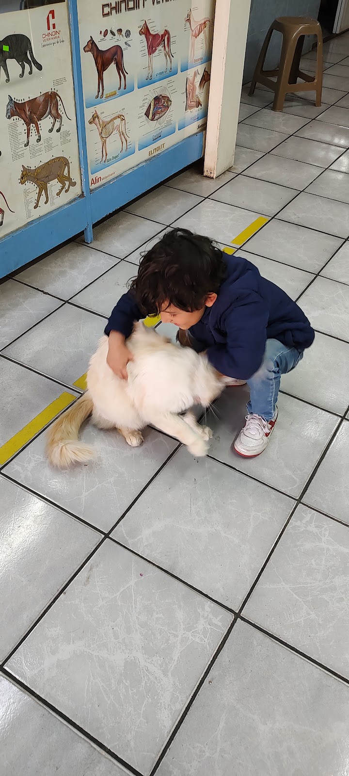 17854 veterinaria alcazar