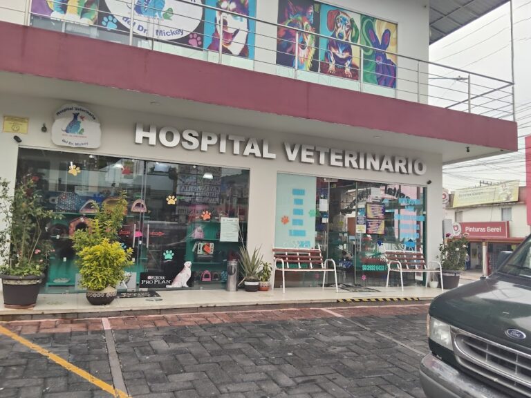 17858 hospital veterinario del dr. mickey 768x576