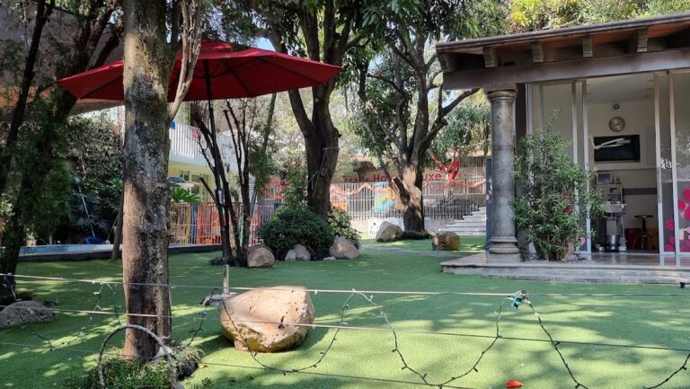 17860 petinn 768x433