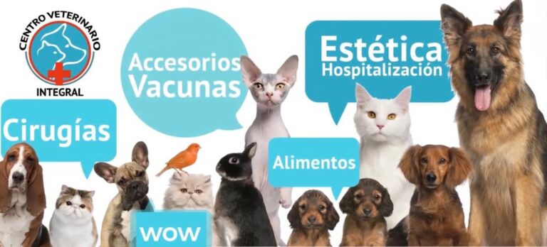 17862 centro veterinario integral el mosri 768x348