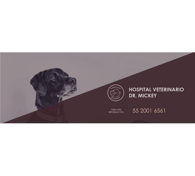 17864 hospital veterinario base delfin ii 768x692