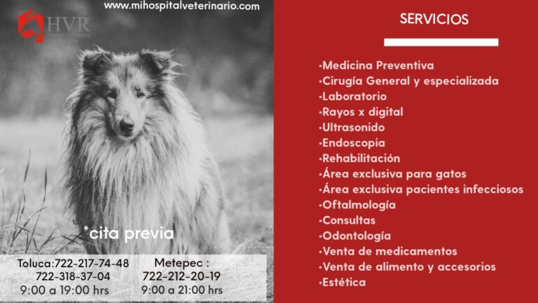 17866 hospital veterinario reynoso 768x432