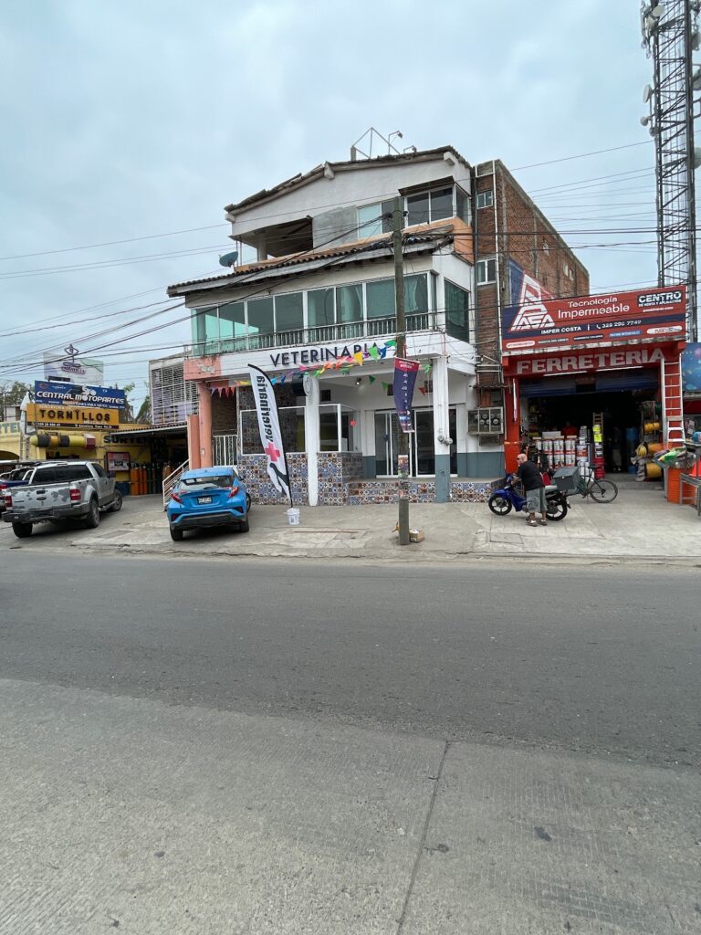 17877 clinica veterinaria de la bahia 768x1024