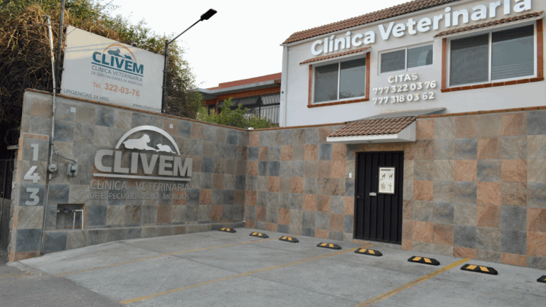 17882 clinica veterinaria de especialidades de morelos 768x432