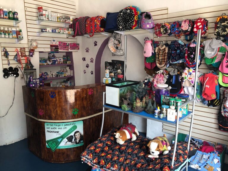 17884 animal center 768x576