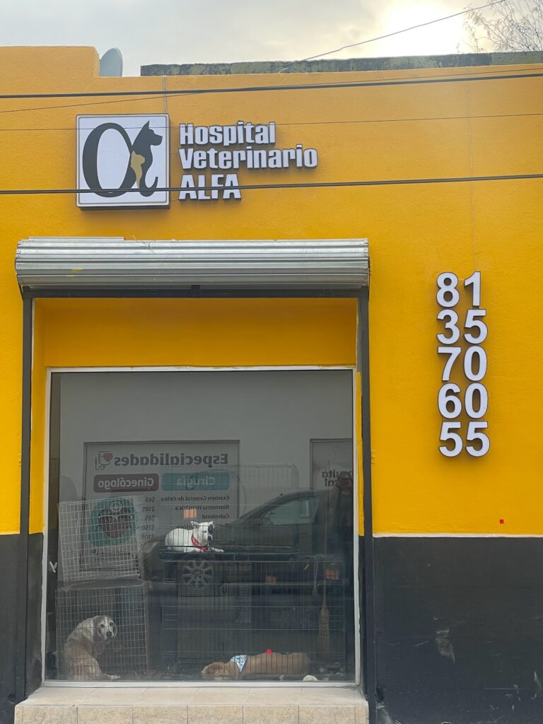 17886 hospital veterinario alfa 768x1024