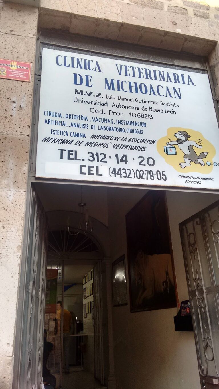 17888 clinica veterinaria de michoacan 768x1365