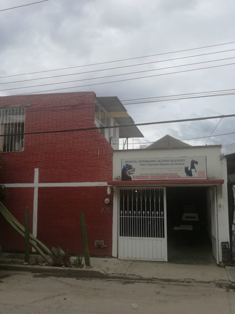 17894 hospital veterinario de especialidades para pequenas especies de oaxaca 768x1024