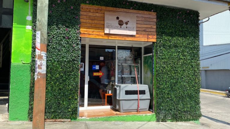 17896 centro veterinario del valle puerto 768x432