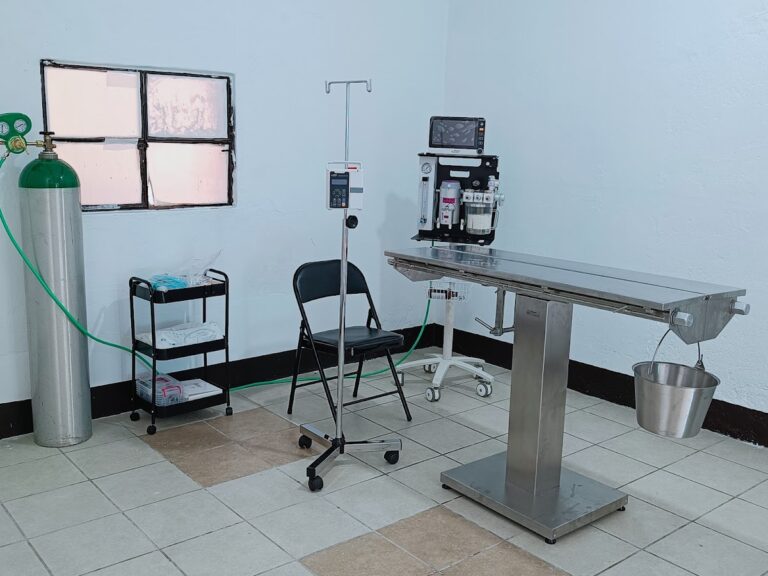 17918 clinica veterinaria canocat 768x576