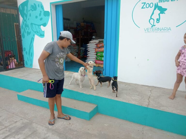 17920 veterinaria zoo mania 768x576