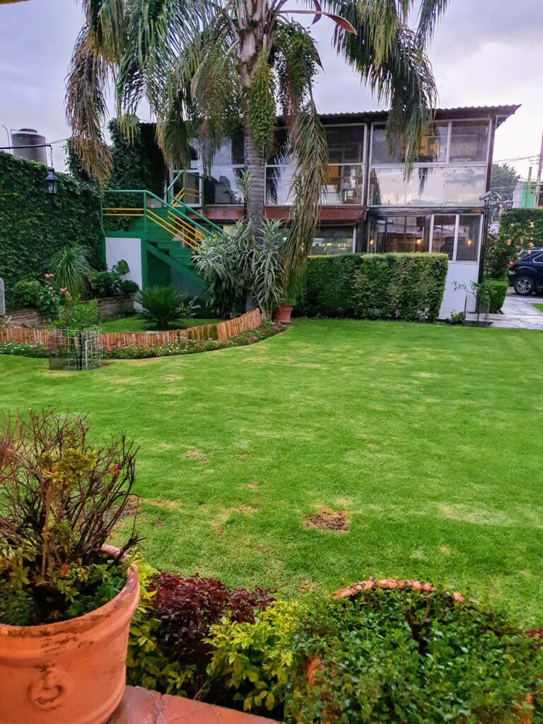 17924 hospital veterinario de cholula 768x1024