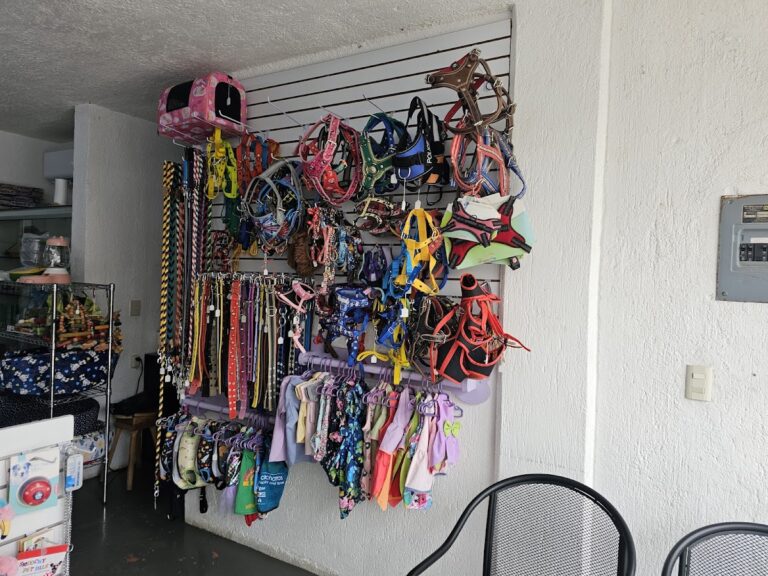 17928 zoovet consultorio veterinario 768x576