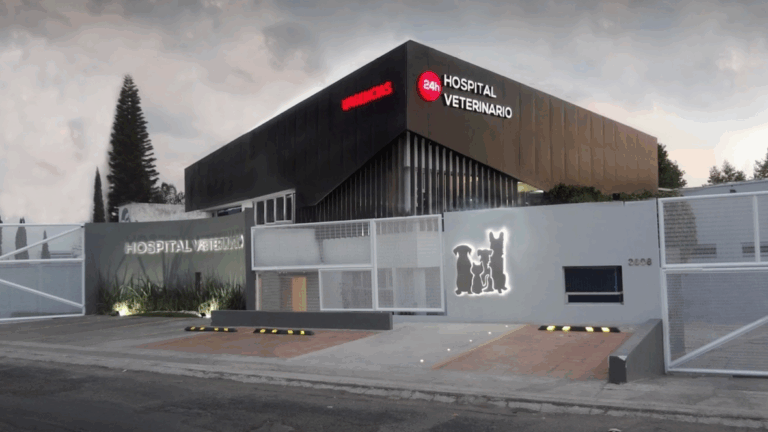 17932 hospital veterinario de puebla unidad recta 247 768x432