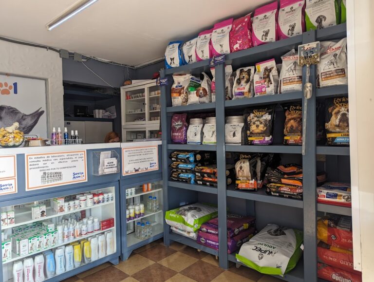 17936 sonrisa animal 768x579