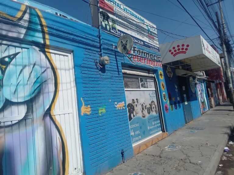 17950 veterinaria mykan 768x576