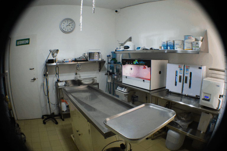 17960 clinica veterinaria arboledas 768x512