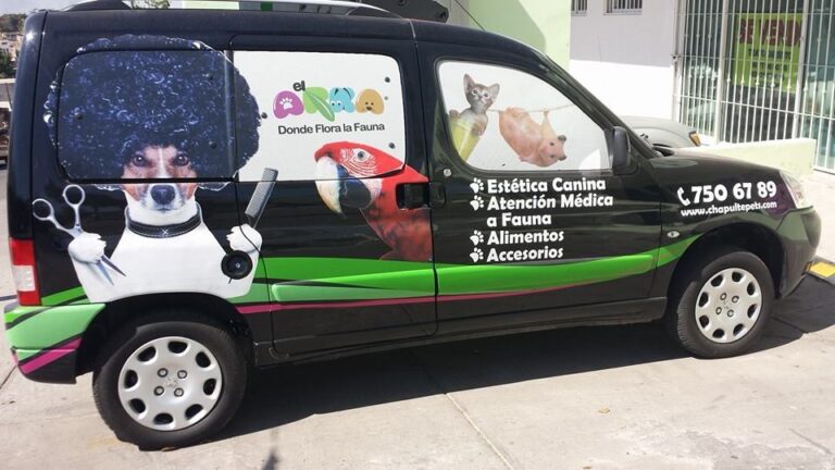 17972 hospital veterinario chapultepets congreso 768x432