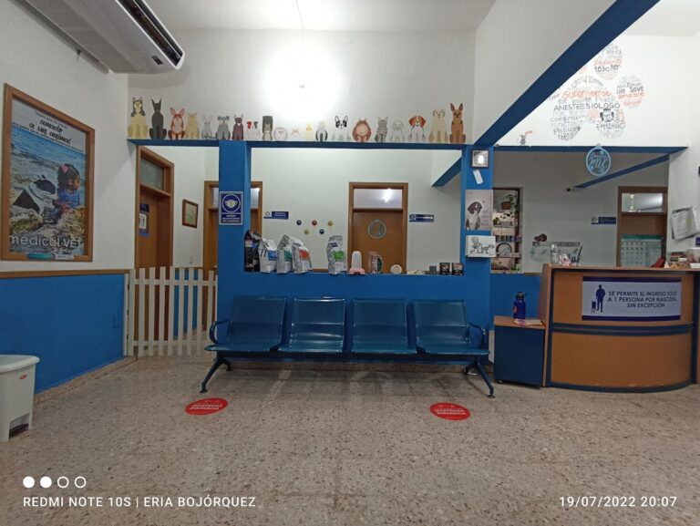 17980 medical vet center 768x577