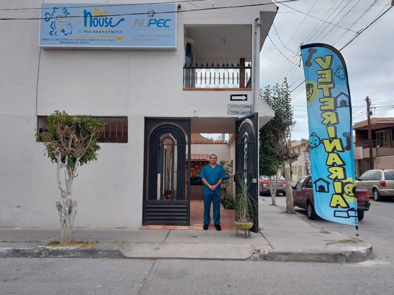 17992 pet house vet 768x576