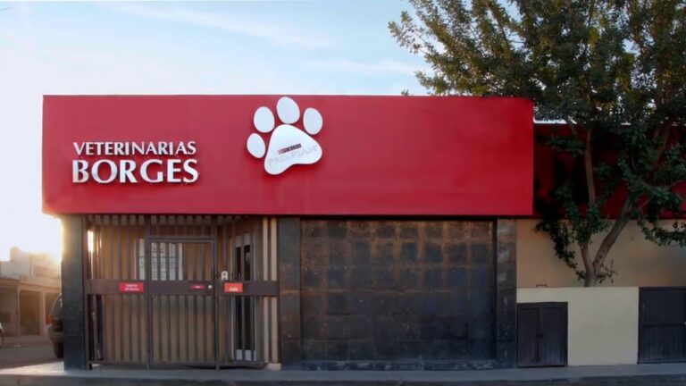 17994 hospital de urgencias veterinarias borges 768x432