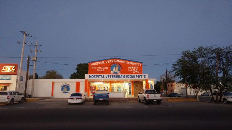 17996 hospital veterinario econo pets 768x432