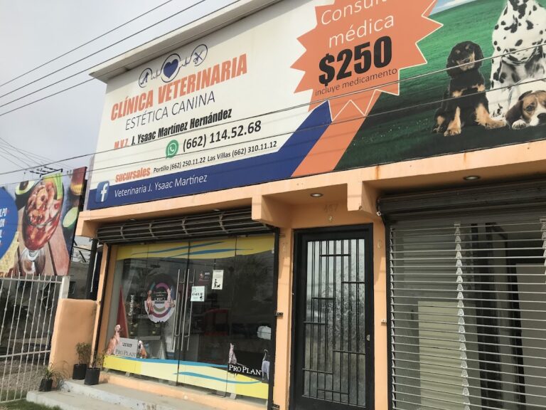 17998 hospital veterinario j ysaac martinez y estetica canina 768x576