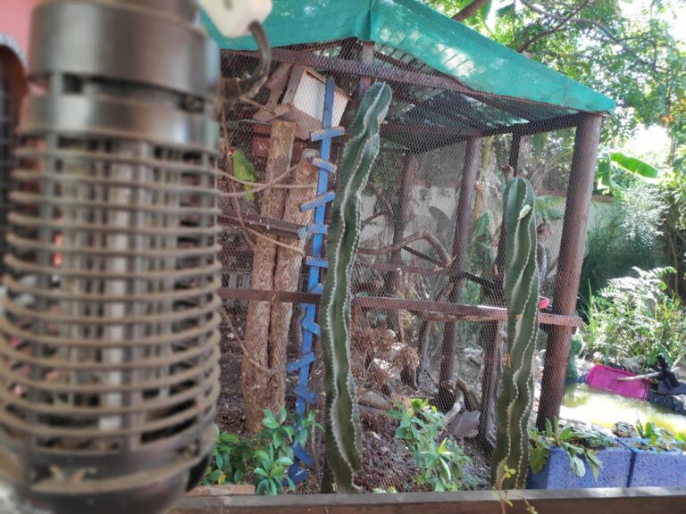 18005 veterinaria garvet 768x576