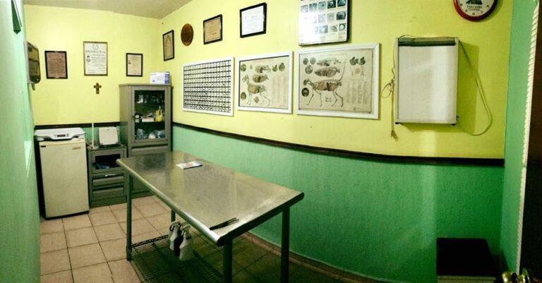 18009 lucecas veterinaria 768x401