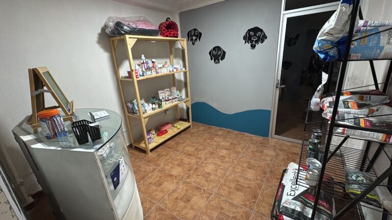 18023 clinica vetheart 768x432