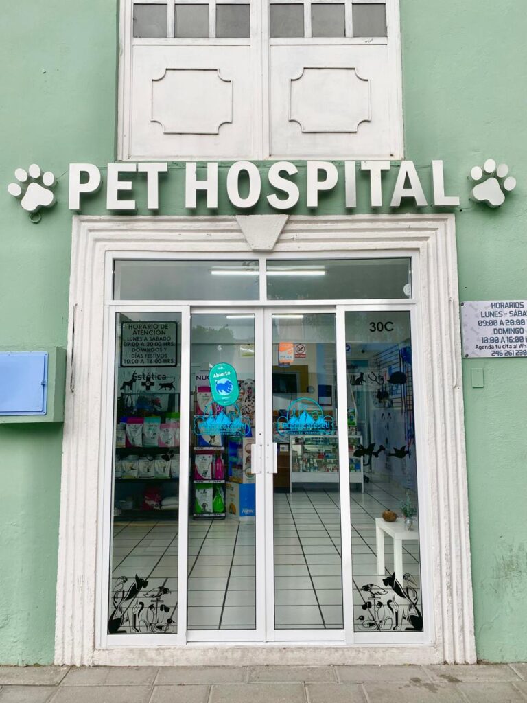 18040 puppycatepetl hospital veterinario 768x1024