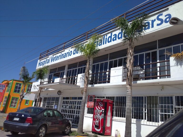 18048 hospital veterinario de especialidades garsa ixtulco 768x575