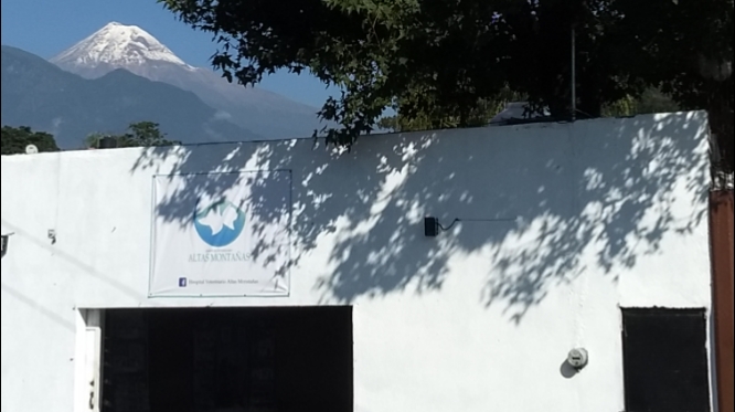 18058 hospital veterinario altas montanas
