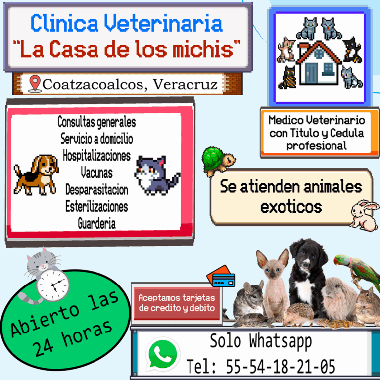18060 clinica veterinaria 24 horas la casa de los michis 768x768