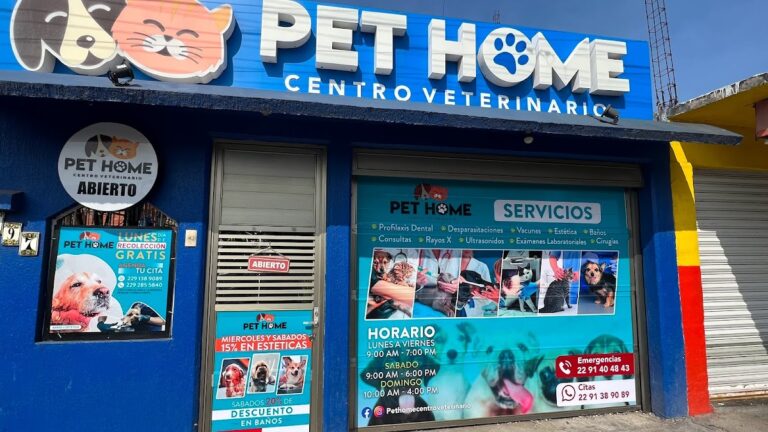 18074 centro veterinario pet home 768x432