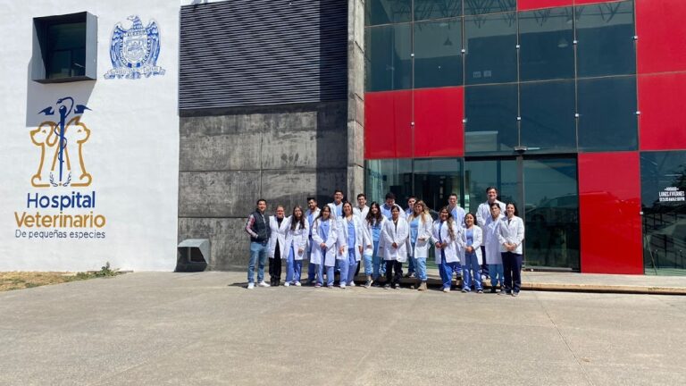 18099 hospital veterinario de pequenas especies 768x432