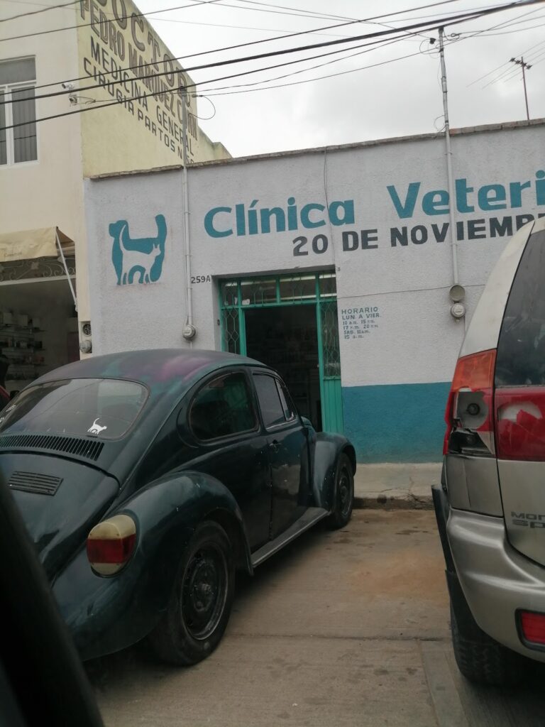 18105 veterinaria 20 de noviembre 768x1024