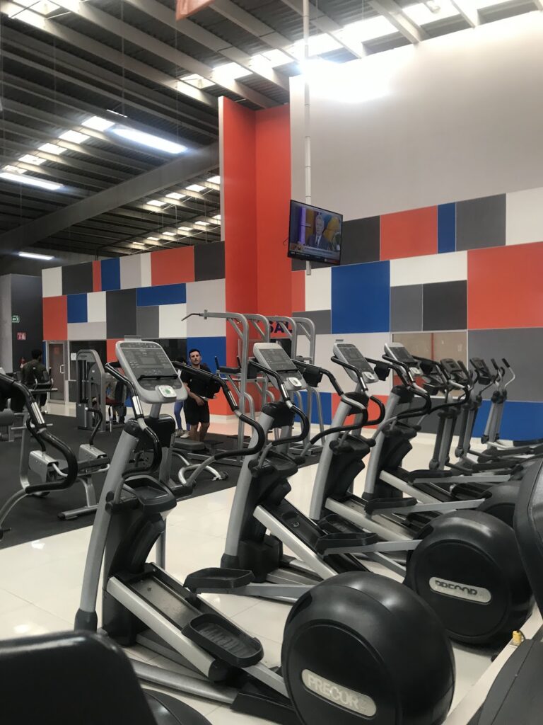 18121 ultra gym fitness 768x1024