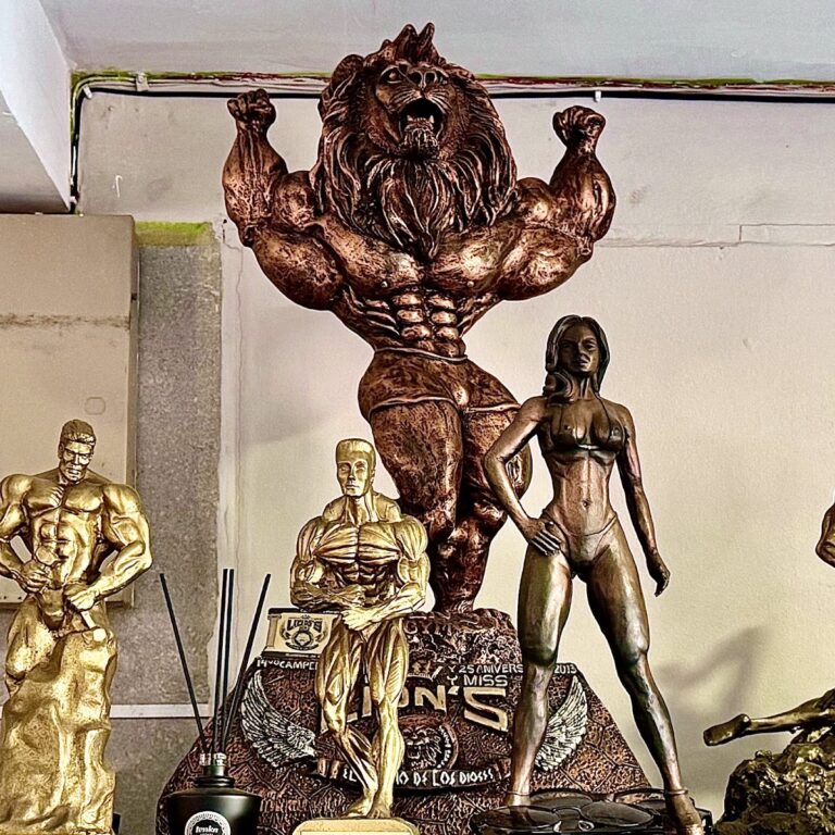 18123 gimnasio lean muscle gym 768x768