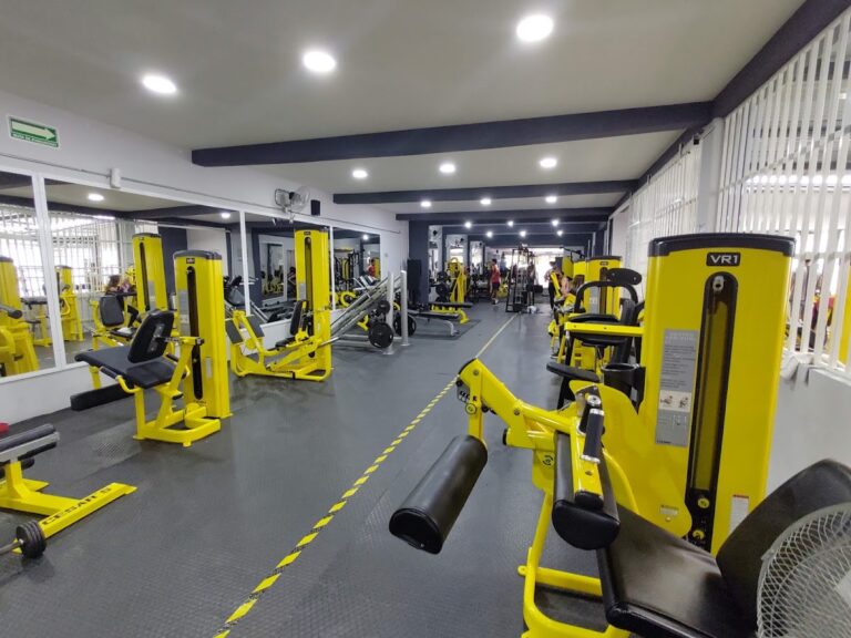 18149 sb fitness i 768x576