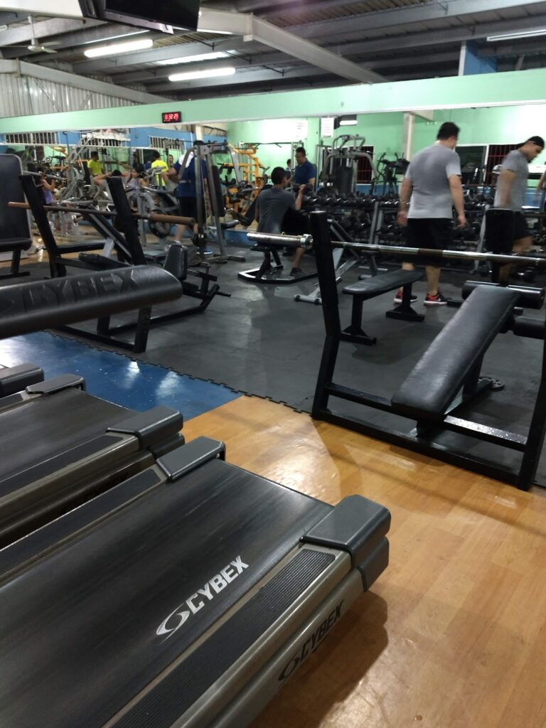 18153 maximus gym 768x1024