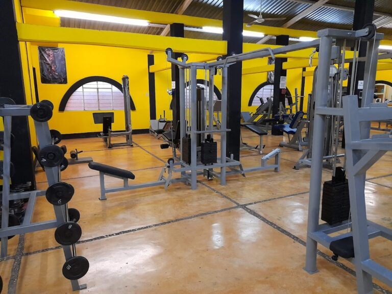 18157 mega a gym fitness center 768x576