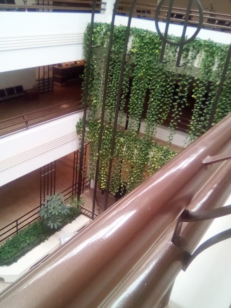 1816 clinica de diagnostico 768x1024