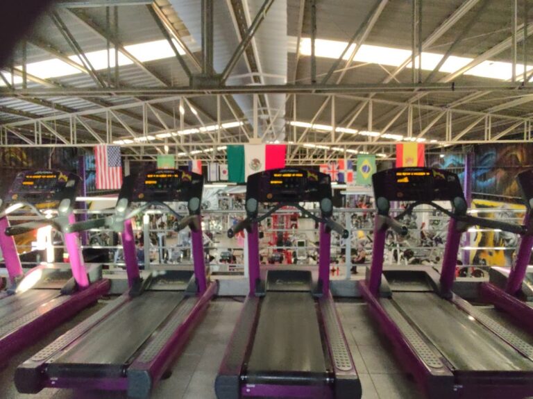 18241 muscle gym 768x575