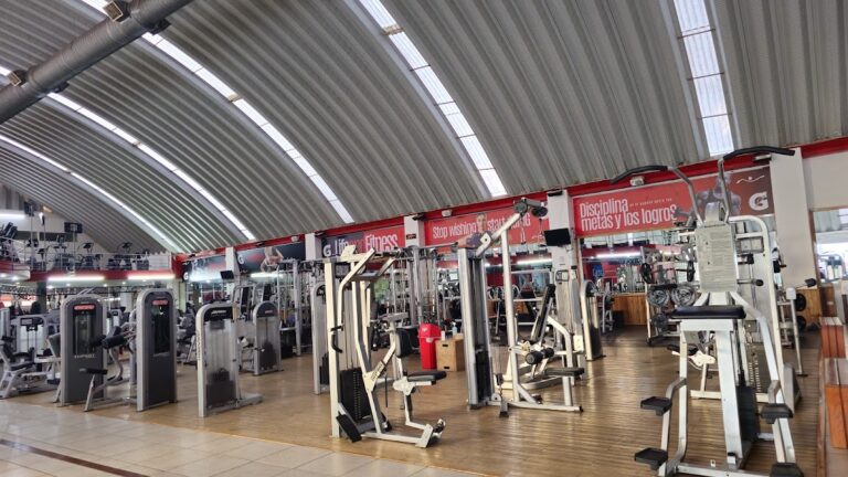 18263 life and fitness irapuato 768x432