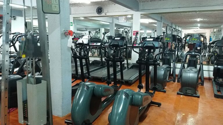 18314 evolution gym 768x432