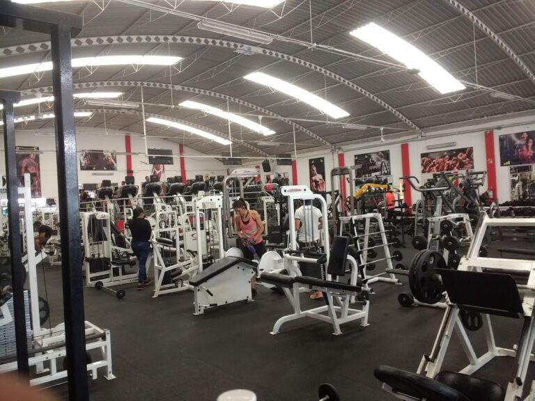 18338 iron gym 768x576